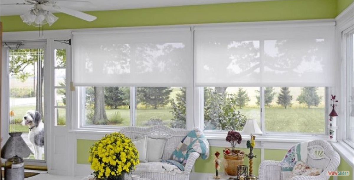 Screen Roll up Shade