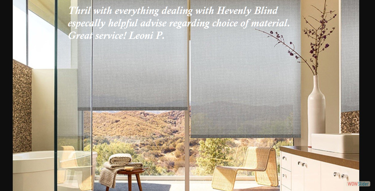 Screen Roll up Shade